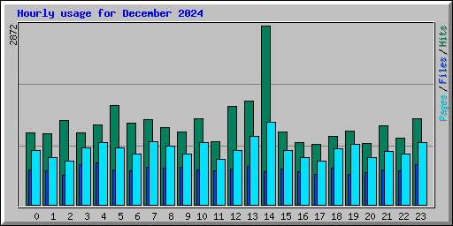 Hourly usage for December 2024