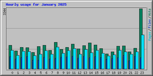 Hourly usage for January 2025