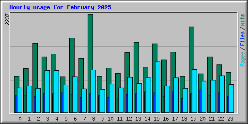 Hourly usage for February 2025