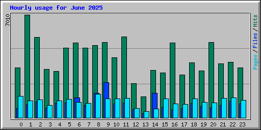 Hourly usage for June 2025
